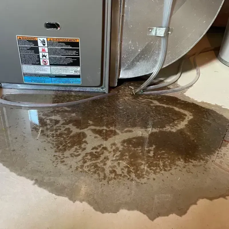 Appliance Leak Cleanup in Walsenburg, CO